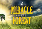 A Miracle in the Forest