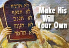 Zot HaBracha: Make His Will Your Own