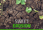Sweet Erosion