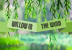 Willow in the Wind
