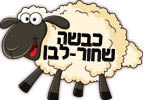 כבשה שחור-לבן
