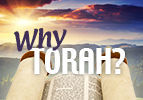 Why Torah?