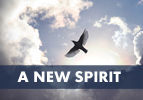 A New Spirit