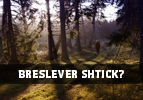 Breslever Shtick?