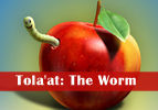 Tola