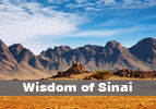 Wisdom of Sinai