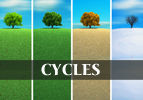 Tzav: Cycles of Our Lives