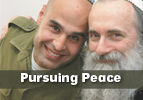 Pursuing Peace