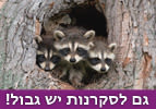 גם לסקרנות יש גבול - פרשת השבוע שלח לך