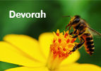 Devorah