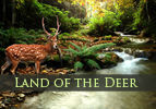 Land of the Deer