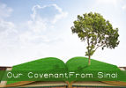 Our Covenant From Sinai