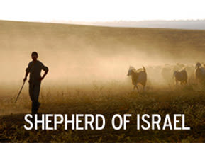 Shepherd of Israel - breslev.co.il