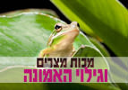 מכות מצרים וגילוי האמונה - פרשת השבוע וארא
