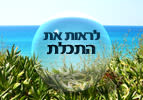 פרשת השבוע תצוה - לראות את התכלת