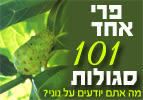 נוני - פרי אחד - 101 סגולות