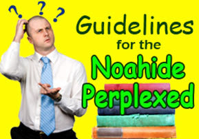 Guidelines for the Noahide Perplexed