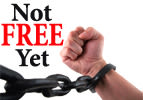 Emor: Not Free Yet