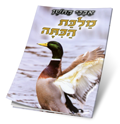 אבני החשן - מלכת הכיתה, הרב שלום ארוש