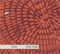 עמיר בניון - סופה