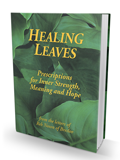Healing Leaves - Letters of Reb Nosson