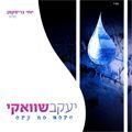 Yaakov Shwekey - Cry no more