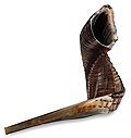 Shofar