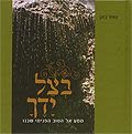 בצל ידך