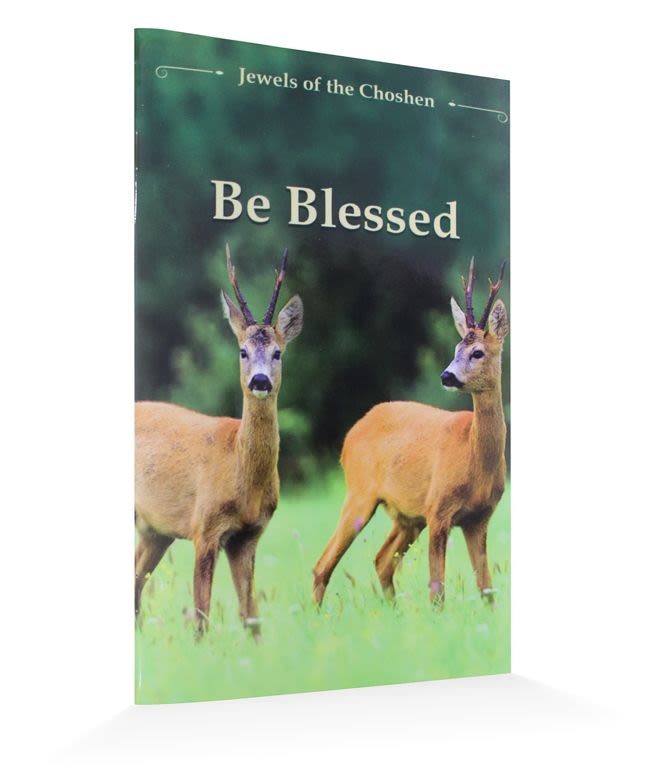 Be blessed - The “Jewels of the Choshen” series