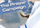 The Prayer Campaign