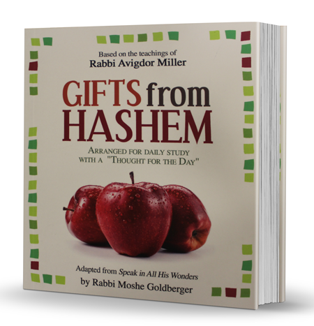 Gifts from Hashem