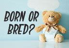 Toldot: Born or Bred?
