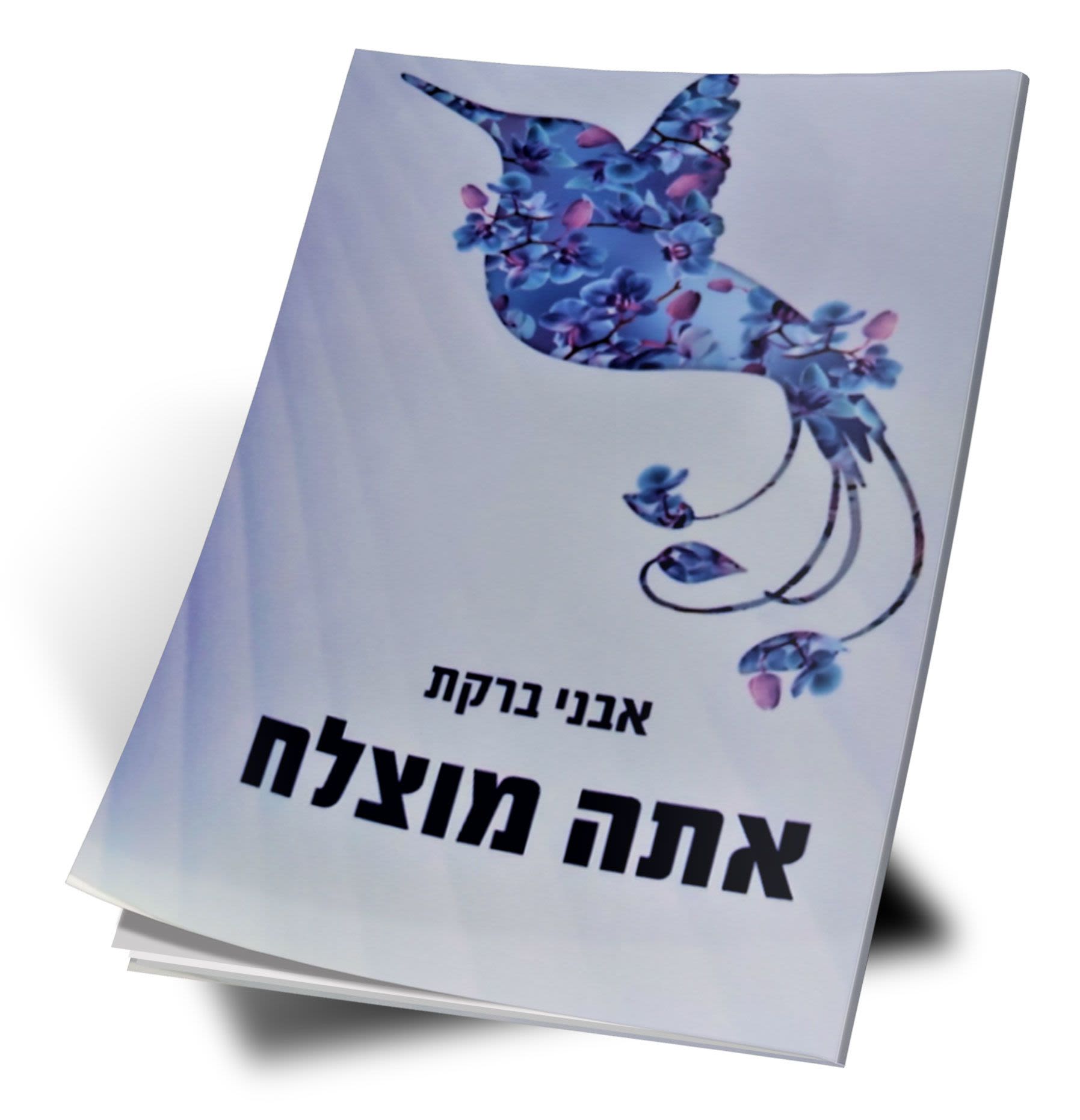 אבני ברקת - אתה מוצלח