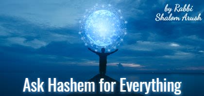 Ask Hashem for Everything