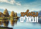 נגמלים ונגאלים