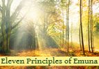 Eleven Principles of Emuna - A New Light