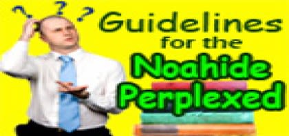 Adar - Guidelines for the Noahide Perplexed