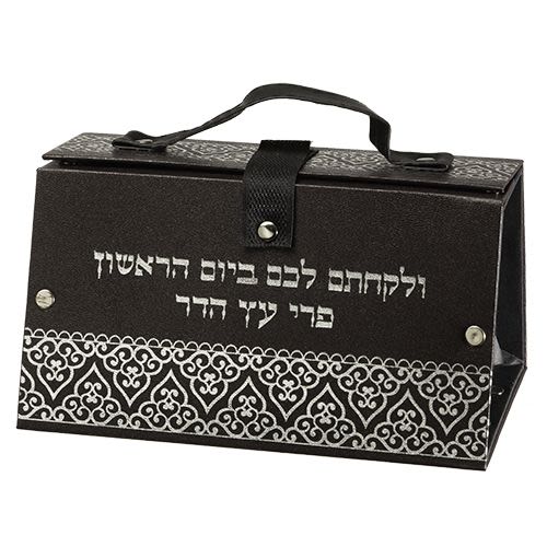 Etrog Case in Silver-Colored Imitation Leather