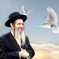 Your Biggest Asset | Rabbi Shalom Arush