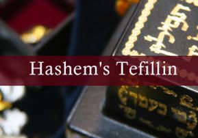 The Symbolism of Tefillin Shel Rosh - Meaning of Tefillin